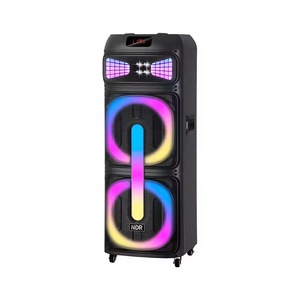 Enceinte NDR-2250 avec chariot et roues, double haut-parleurs de 12 pouces, TWS, FM, RGB, basses 100Z * <span class=keywords><strong>2</strong></span> + aigus Z-head pour adultes - Product Image 6