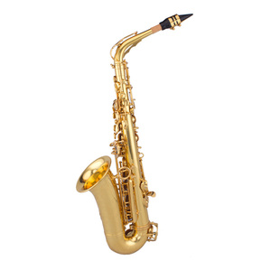 <span class=keywords><strong>Saxophone</strong></span> <span class=keywords><strong>alto</strong></span> professionnel chinois en Mi bémol, corps en laiton - Product Image 2