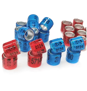 Fasce di piccione Multicolor anelli di zampa di colomba anelli di piccione per pulcini piccioncini piccioncini quaglia piccolo pollame // - Product Image 1