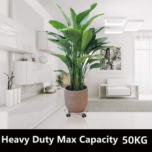 Grand support de plante en métal avec <span class=keywords><strong>roues</strong></span> verrouillables Protecteur de sol <span class=keywords><strong>Roues</strong></span> roulantes en caoutchouc Supports pour plantes Rouleaux pour plantes Support pour pots - Product Image 2