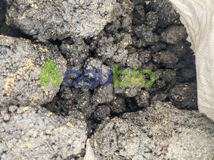 ओगुबियो थोक मलायन शिलजीत कच्चे पत्थर 70% + फुलविक एसिड थोक श्रीलजीत कच्चे पत्थर - Product Image 2