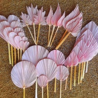 MC feuilles de palmier en gros personnalisé coloré véritable fleur séchée naturelle feuille de palmier pour la décoration de mariage à la maison