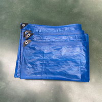 Bâche en PE imperméable et résistante 4m x 6m 120g, bâche enduite de HDPE