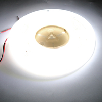 Bande lumineuse LED flexible COB SHIJI de haute qualité 320 LED/M DC24V 8MM 3000k 4000k 6000k pour éclairage d'arrière-plan TV et aménagement paysager