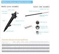Instruments chirurgicaux pour oreilles, yeux, nez et gorge, petite caméra modèle 46, interface USB, 30 FPS, endoscope en acier, Ojos Omnivision 6946