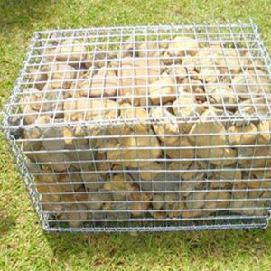 Sıcak daldırma galvanizli <span class=keywords><strong>Gabion</strong></span> Mesh istinat duvarı kaynaklı <span class=keywords><strong>Gabion</strong></span> sepeti - Product Image 4