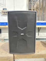 Sandy Audio, enceinte subwoofer de 15 pouces, enceinte professionnelle pour scène extérieure, haut-parleur de 15 pouces pour concert