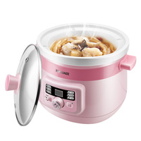 Mijoteuse électrique OEM bon marché pour bébé Mijoteuse mijoteuse avec revêtement en céramique 110V 220V Mini appareil à soupe santé automatique
