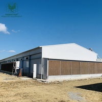 Gallinero de Acero de Tamaño Personalizado con Ventilación por Túnel para Proyectos Comerciales de Gran Escala de Pollos de Engorde