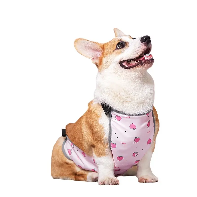 Wholesale Waterproof Dogs and Cats Clothes Belly Protection Against Cold Cat Clothes Corgi Dog Clothes For Autumn And Spring