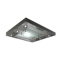Prix d'usine professionnel ascenseur de passager ascenseur pièces plafond