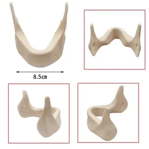 Modelo Dental de Práctica de Implantes, Modelo de Enseñanza de Dientes, Herramienta de Demostración para Entrenamiento Educativo, Modelo de Simulación de Hueso de Mandíbula Inferior - Product Image 3
