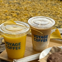 Gobelets en plastique transparent avec couvercles et pailles, parfaits pour les smoothies, le café, les jus – Gobelets jetables pour fêtes et plats à emporter
