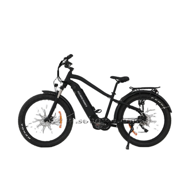 Electric Cycle Bike Bicycle Mountainbike 750 1000 Watt Ebike 48V Fat Tire Electric Bike