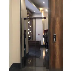 Hochwertige automatische Doppels chwingtür/manuelle Tür Villa Panorama aufzug Innen ascenses de casa