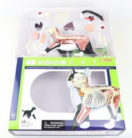 Ressources pédagogiques scientifiques médicales et biologiques pour enfants, jouets éducatifs, modèle anatomique de chat, matériel scolaire CE/ISO