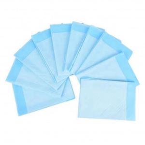 Nouvelles Offres 2025 : Tapis d'Entraînement Jetables pour Chiots – Absorbants et Pratiques - Product Image 5