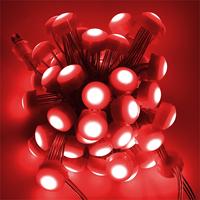 Prix d'usine T20, LED Pixel RGBW extérieur IP66 de 12 mm, 20 mm, 30 mm pour Noël et les fêtes, installation permanente