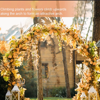Arche de mariage ronde en métal pour extérieur, support circulaire pour fleurs et ballons, idéal pour cérémonies, fêtes, événements de jardin, vente en gros