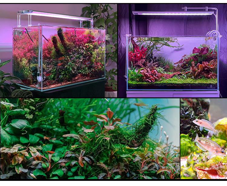 WEEKAQUA M600K PRO RGB+UV Dimmable LED Aquarium Light for