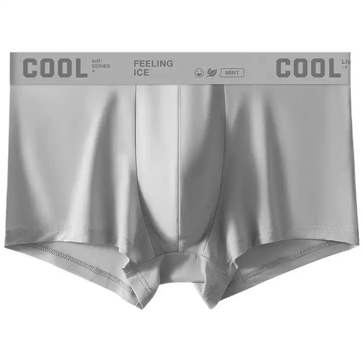 Mens Underwear Comfortable Bulge Briefs Men's Ice Pouch