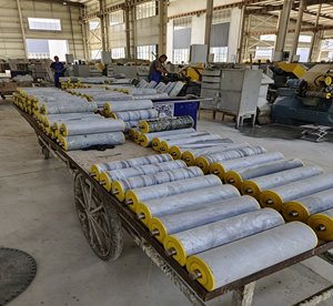 Los rodillos tensoriales de quinta generación resolvieron perfectamente los puntos de <span class=keywords><strong>dolor</strong></span> de la industria, lo que les permitió ahorrar una cantidad significativa en costos de operación. - Product Image 3