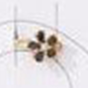 Orecchini a clip con fiore e strass da 6 mm in acciaio inossidabile, 12 pezzi, adatti a tutti i generi - Product Image 6