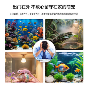 Cámara Wi-Fi para Acuario 1080p Full HD con Visión Nocturna Infrarroja, Monitor para Bebés y Mascotas con Intercomunicador de Voz Remoto y Detección Humana - Product Image 2