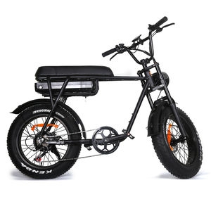 Tourwheel Mountain fatbike rapide 750W 48V suspension complète transport personnalisé Ebike vélo électrique gros pneu - Product Image 2