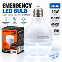 Wiederaufladbare LED-Glühbirnen für den Innenbereich, 20W Notfall-Campinglampe, AC85V-265V, IP54 wasserdicht, staubdicht, 6500K, energiesparende Glühbirnen