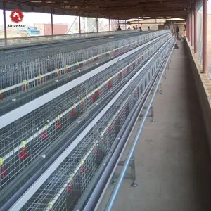 Q235 alambre de acero pullet pollo jaula/jaula capa jaula para aves de corral granja