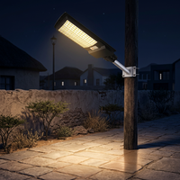 Farolas Solares, Luces Solares para Jardín, Iluminación Exterior, Impermeables IP65 y con Protección Contra Rayos, Certificación CE