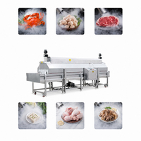 Hete Aanbieding Vloeibare Stikstof Tunnelvriezer Industriële Snelvriesapparatuur voor Durian, Steak en Garnalen