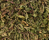 Harga Grosir Daun Dandelion Kering Premium Teh Herbal Cool Pu Gong Ying 100% Daun Dandelion Kering Alami Teh Daun Dandelion Kering