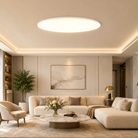 Lámpara de Techo Ovalada para Interiores con Iluminación Uniforme de Tono Cálido de 2700K para Dormitorio de Villa