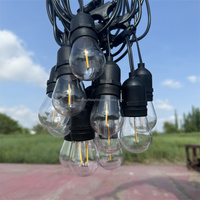 Guirlandes lumineuses LED S14 extérieures de 10 mètres (48 pieds), indice de protection IP65, résistantes à l'eau, pour l'éclairage de la cour, de Noël et des fêtes de mariage