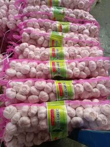 Trung Quốc Cây Trồng Mới Tỏi Tươi Xuất Khẩu 4.5 5.0 5.5 6.0 6.5 Cm Bình Thường Trắng Tinh Khiết Tỏi Trắng Trung Quốc Nhà Máy Bán Hàng Trực Tiếp - Product Image 2