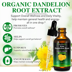 Acentiallabs Dandelion <span class=keywords><strong>Root</strong></span> <span class=keywords><strong>Liquid</strong></span> Supplement 100% Natural Orgânico Vegan Wild Dandelion <span class=keywords><strong>Root</strong></span> <span class=keywords><strong>Extract</strong></span> Drops for Liver Support - Product Image 4