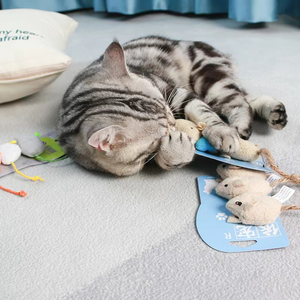 Juguete de peluche de gato bonito de venta directa de fábrica con hierba gatera juguete divertido para masticar para mascotas 30 vendidos - Product Image 4