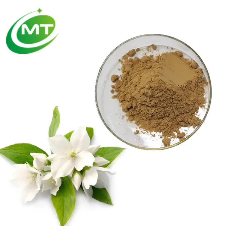 MT สุขภาพอินทรีย์ Jasminum Officinale ดอกมะลิสารสกัดจากผง