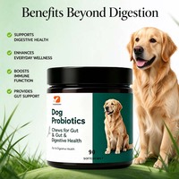 Probiotiques et prébiotiques pour chiens OEM, friandises moelleuses, probiotiques multi-souches, enzymes digestives, soutien de la flore intestinale, soulagement des maux d'estomac, santé immunitaire