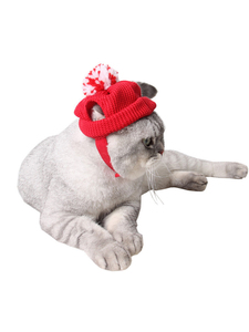 Direktverkauf vom Hersteller: Umweltfreundliche Rote Tiermuster-Wollmütze mit Ohrlöchern für Hunde, Katzen, Kätzchen und Welpen - Einheitsgröße Haustier-Bekleidung - Product Image 4