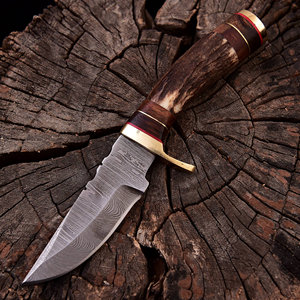 Couteau de chasse professionnel en acier Damas avec manche en bois naturel, outil de coupe durable pour l'extérieur, couteau de chasse de luxe en acier Damas - Product Image 1
