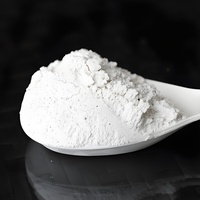 Carbonate de Calcium Industriel (Na2CO3) en Poudre, Qualité Peinture, Matière Première pour Dégivrage et Fondage de Neige, Pureté 99,8%, Shandong