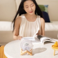 Ventilateur de bureau électrique décoratif personnalisé, réglable, en bois, avec lumière LED rafraîchissante, personnel, portable, mini, réglable