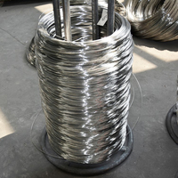 Proveedor Chino, Venta Directa de Alambres de Acero Inoxidable de Alta Calidad de 0.016mm~5.5mm, Alambre de Acero Inoxidable AISI 201/304/316/310/410