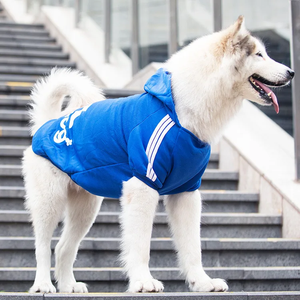 Automne hiver gros vêtements de sport pour animaux de compagnie vêtements coton imprimé coloré vestes pour Golden Retrievers Huskies autres races - Product Image 2