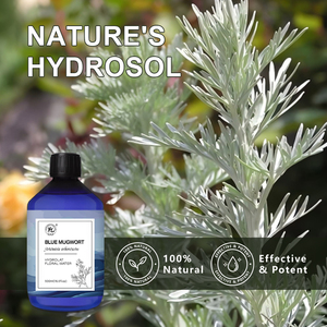 Hydrolat d'Armoise Bleue - Hydrolat Biologique pour Diffuseur - 100% Pur Naturel Eau Florale d'Artemisia Arborescens |   OEM 500mL - Product Image 2