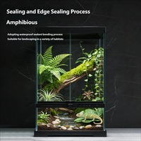 Terrarium en verre haut de gamme pour reptiles, type forêt tropicale, avec ouverture frontale en maille et gestion des câbles, idéal pour les dragons barbus