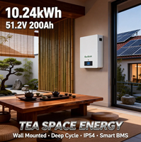 Baterai LiFePO4 48V 10kWh 51.2V 200Ah untuk Sistem Surya yang Dipasang di Dinding